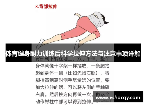 体育健身耐力训练后科学拉伸方法与注意事项详解