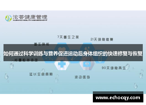 如何通过科学训练与营养促进运动后身体组织的快速修复与恢复